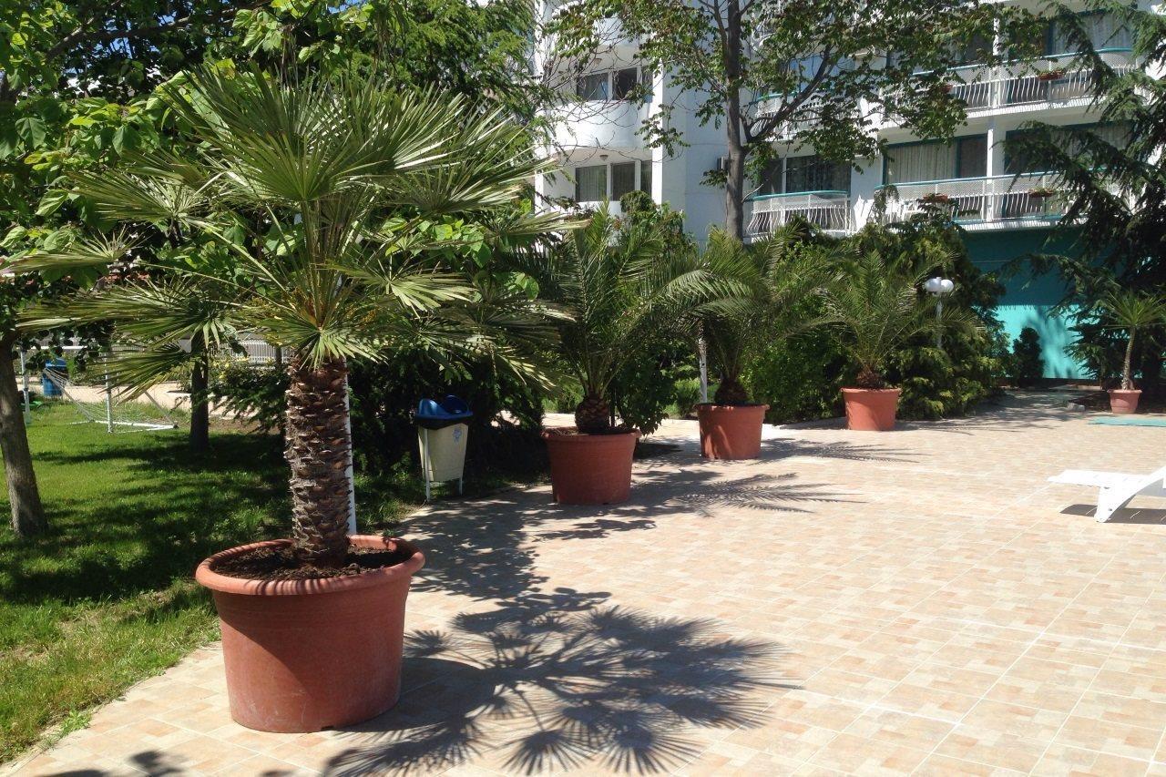 Zefir Hotel Sunny Beach Exterior foto